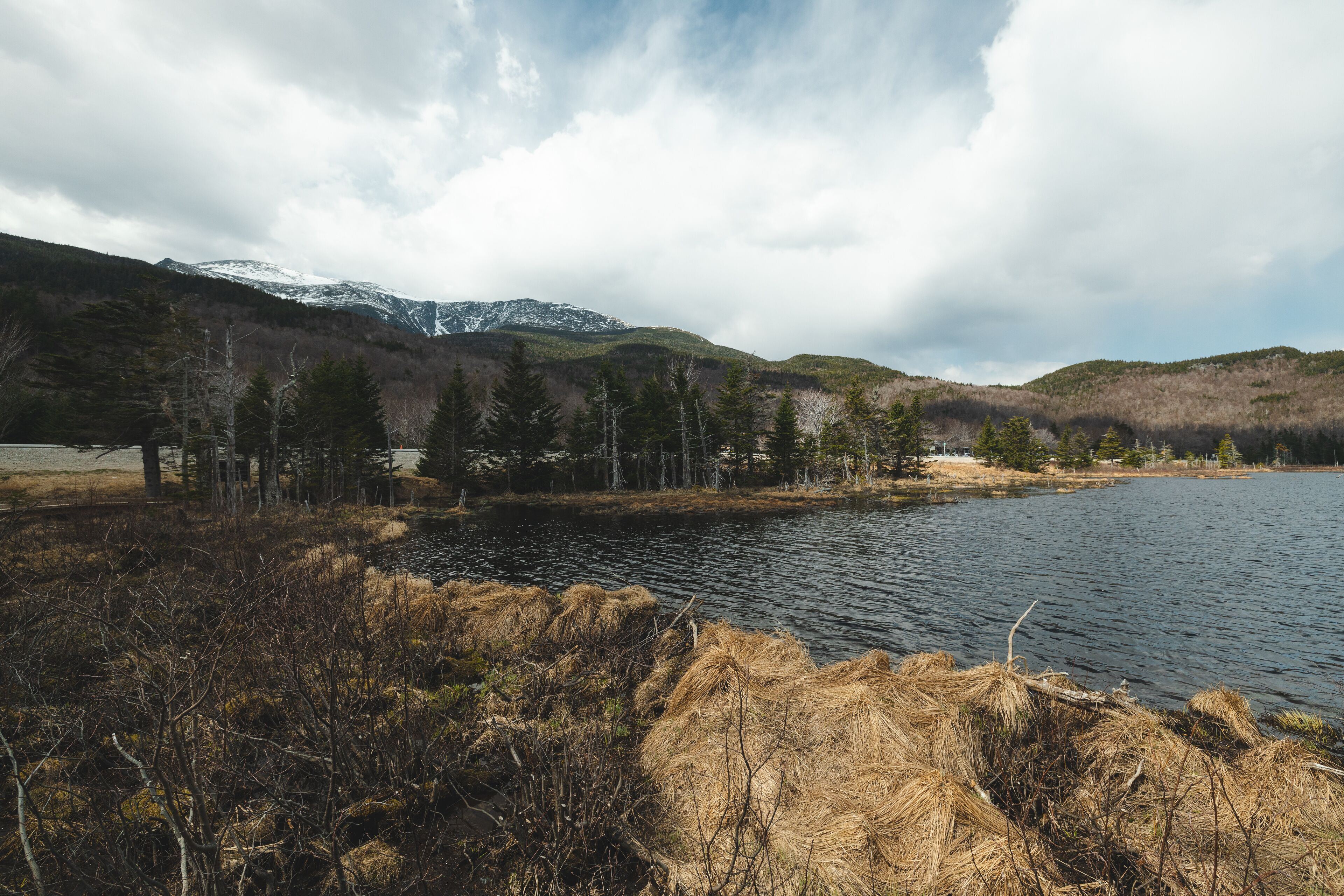 Trees and hill amongst the base of Mount Washington in NH.