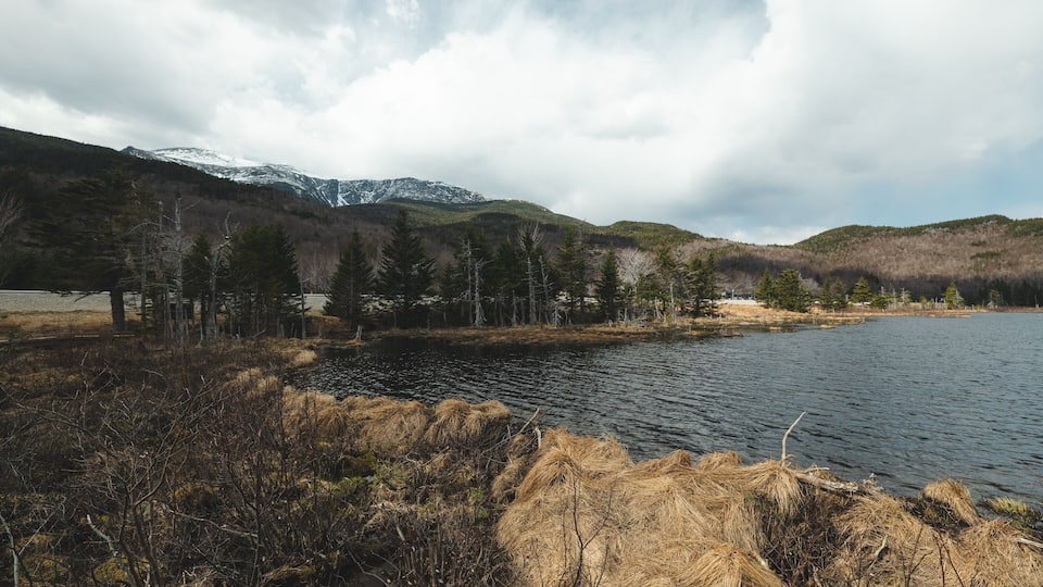 A lake surrounded by mountains and trees.