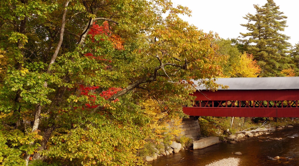 Covered Bridge, New Hampshire , USA