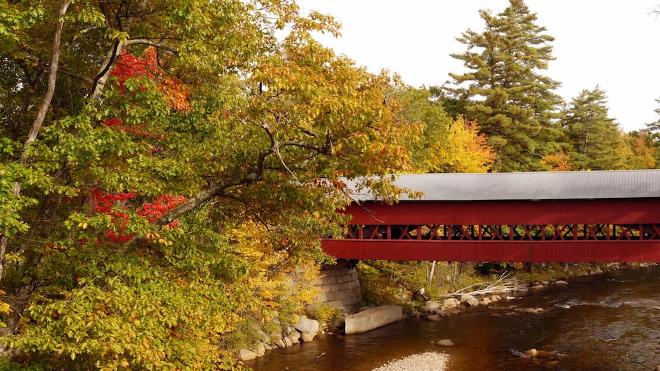 A red covered bridge over a river with autumn foliage.