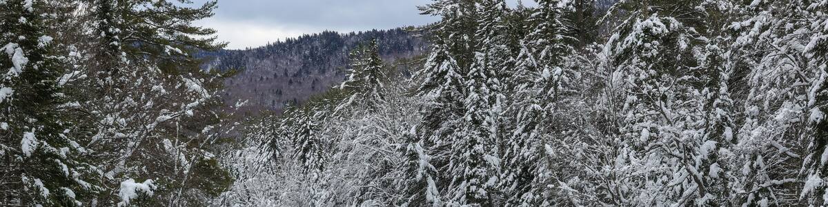 The Swift River, Albany, New Hampshire USA (Winter)