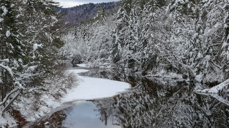 A snow-covered forest with a frozen river.