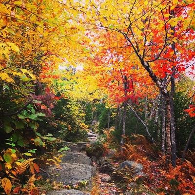 Beautiful ski mountain hike in the fall before the snow came.