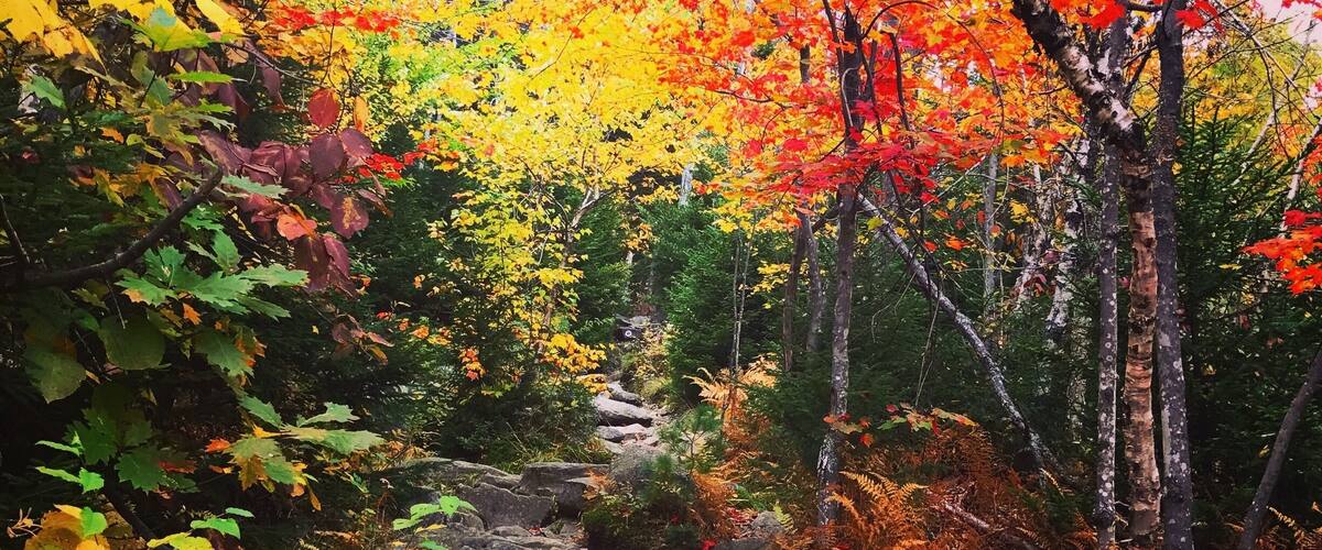 Beautiful ski mountain hike in the fall before the snow came.