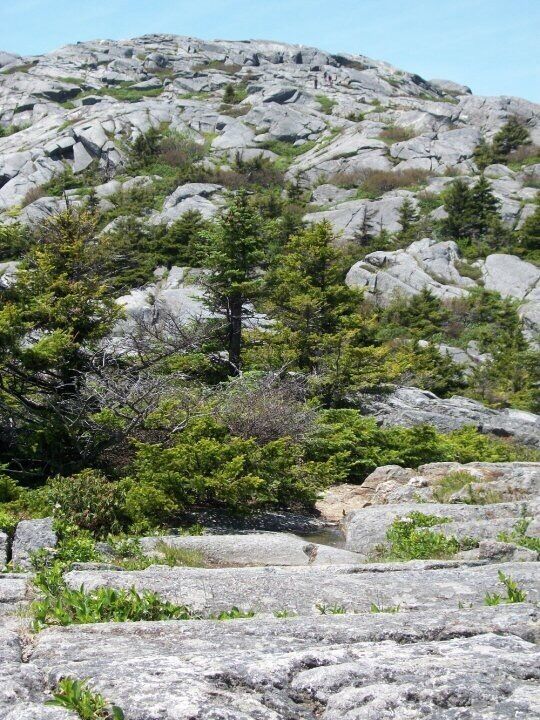 Nearing the summit of Mt Monadnock in 2010
