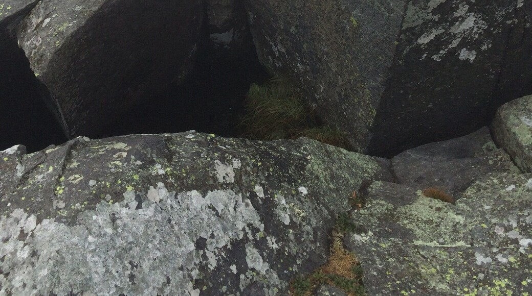 What to do on a rainy Sunday