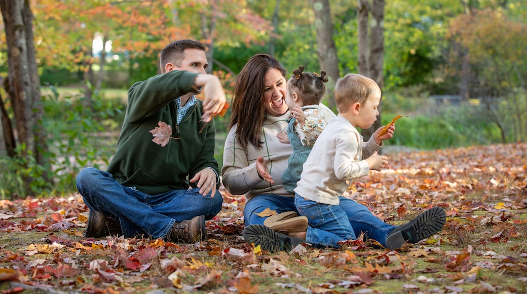 A family playing with leaves on an autumn day
