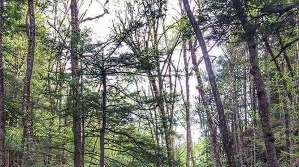 Lots of good hiking and beautiful scenery.
One of my favorite spots.
#takeahike