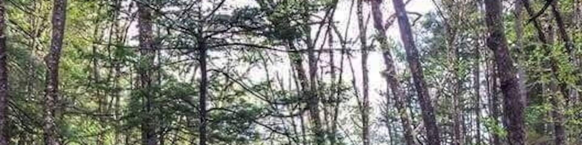 Lots of good hiking and beautiful scenery.
One of my favorite spots.
#takeahike