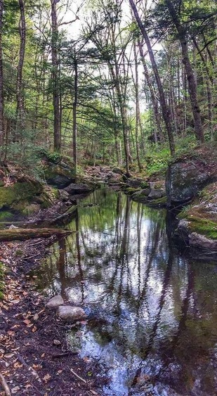 Lots of good hiking and beautiful scenery.
One of my favorite spots.
#takeahike