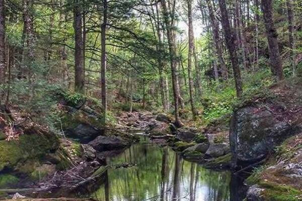 Lots of good hiking and beautiful scenery.
One of my favorite spots.
#takeahike