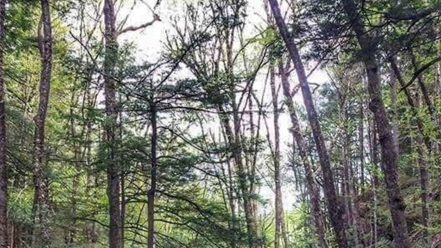 Lots of good hiking and beautiful scenery.
One of my favorite spots.
#takeahike