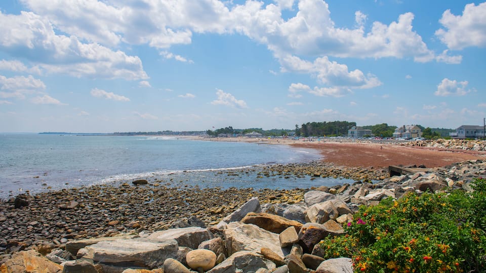 A rocky beach with large boulders, a clear blue sky, and distant houses.