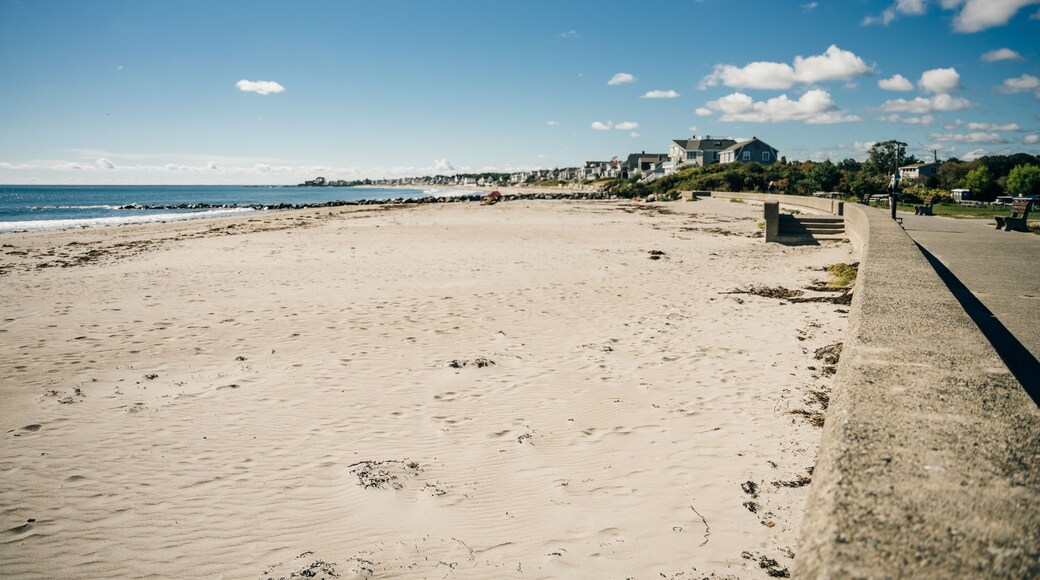 ๋
ธ์ค ํํํด