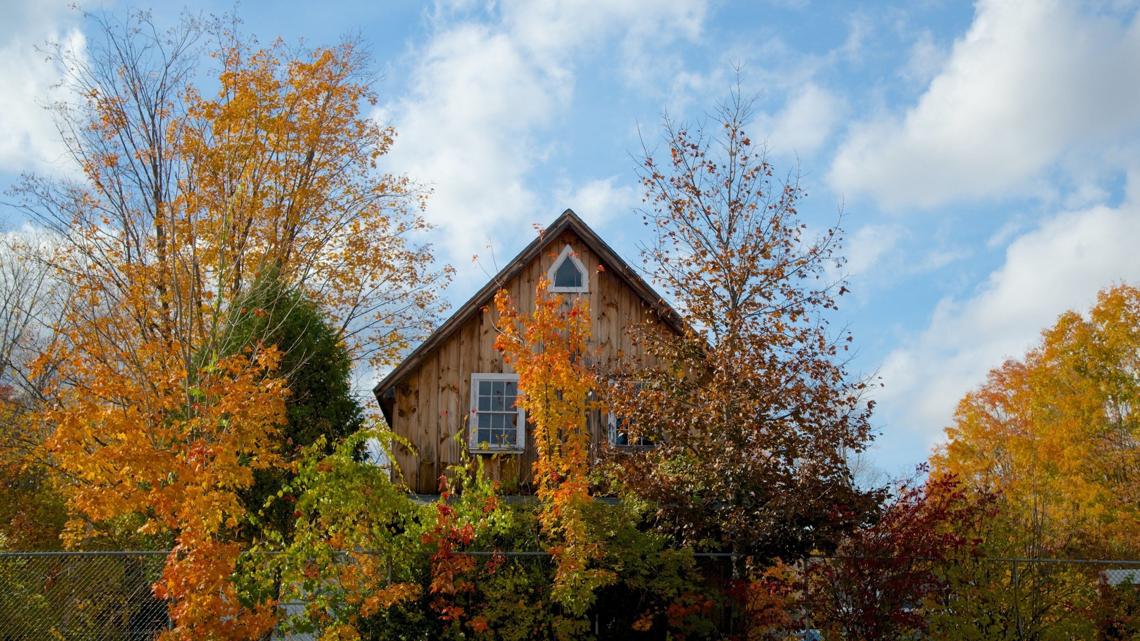 A wooden house surrounded by autumn trees.