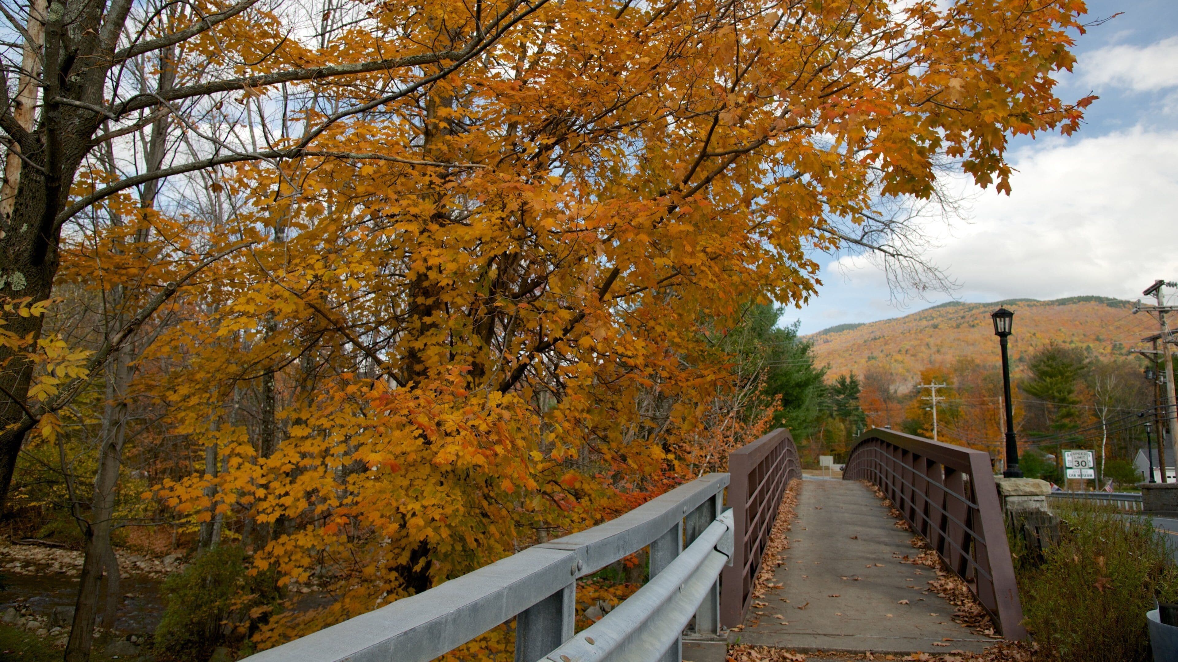 North Woodstock which includes a bridge and autumn leaves