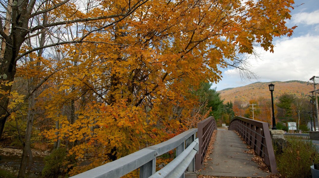 North Woodstock which includes a bridge and autumn leaves