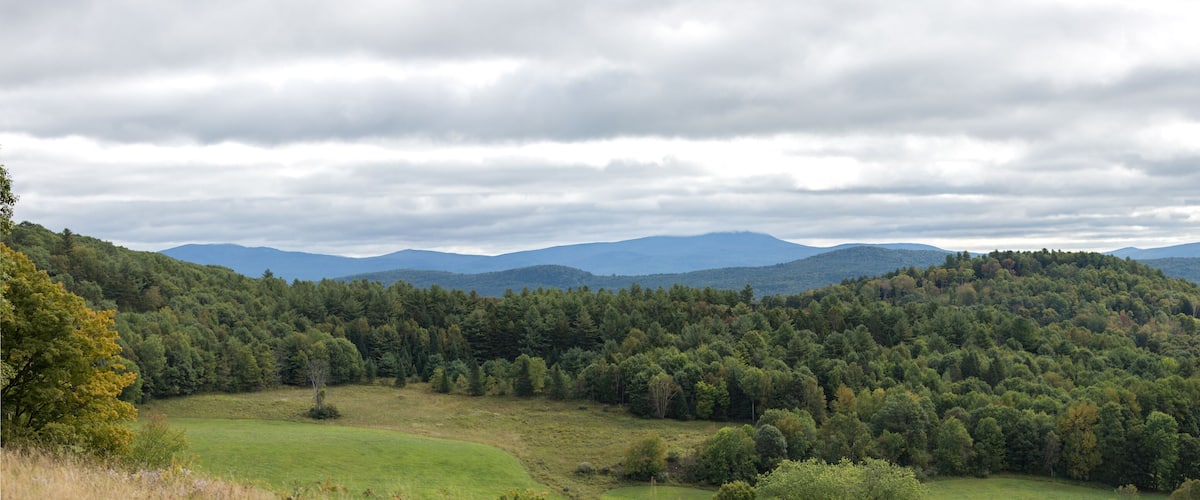 A mountainous landscape with dense forests and a grassy field.