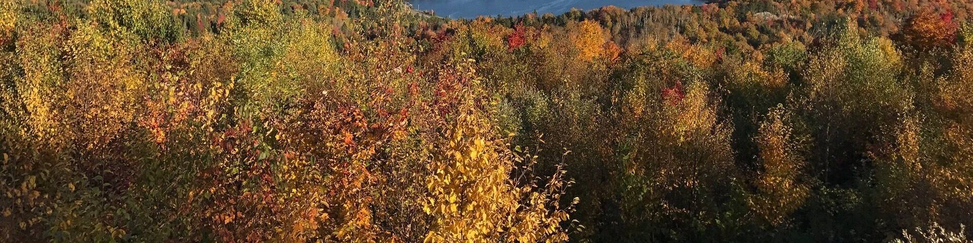 Looking southeast from top of GP Blvd in Pittsburg NH. This is a view of First Connecticut Lake in early October.