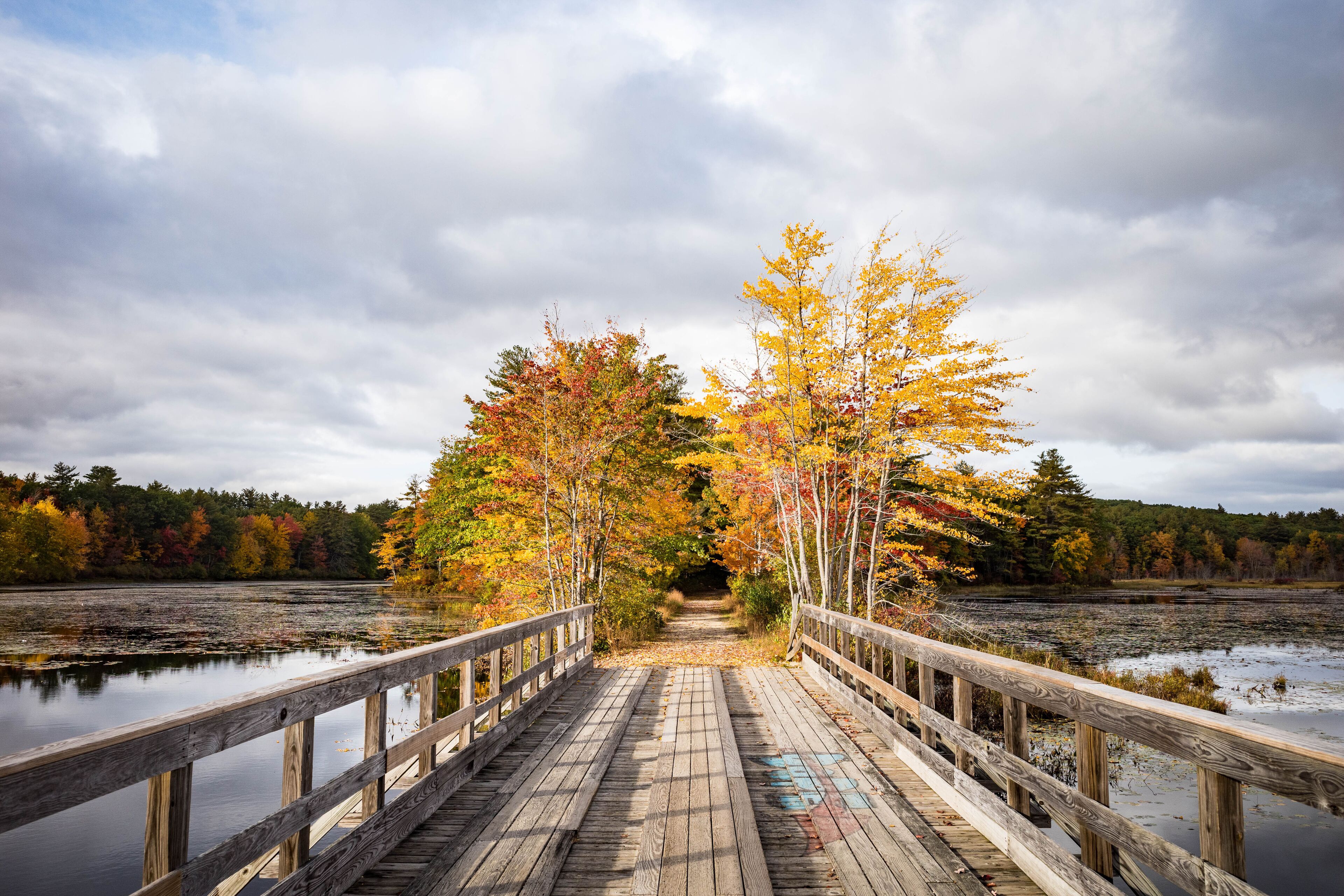 Autumn bridge over a pond along the Monadnock Rail Trail