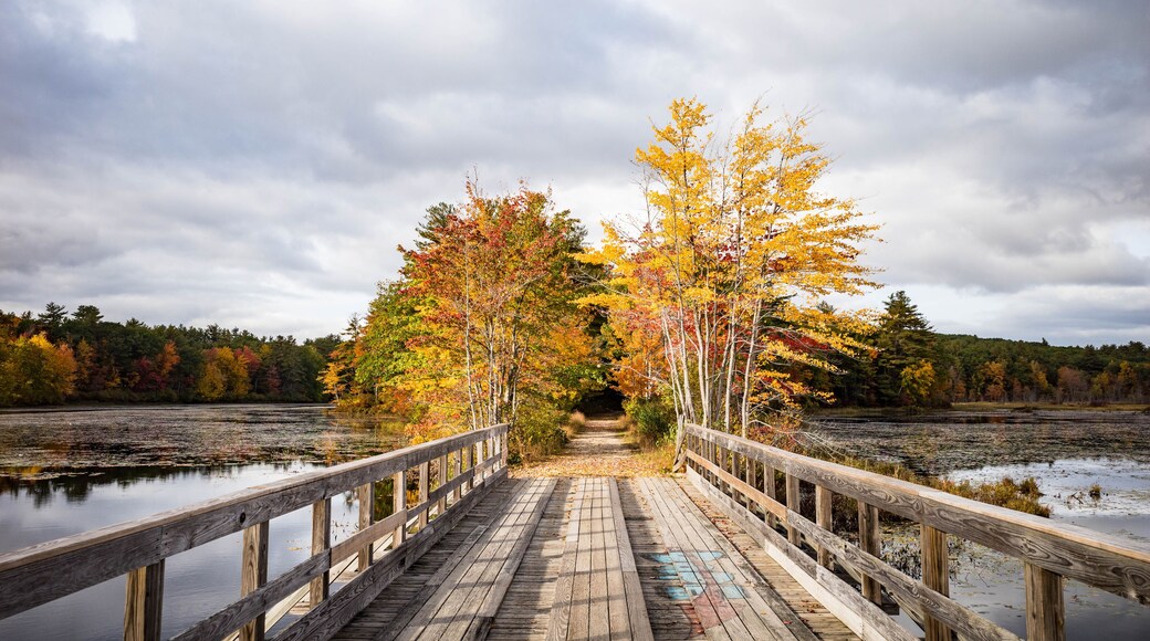 Autumn bridge over a pond along the Monadnock Rail Trail