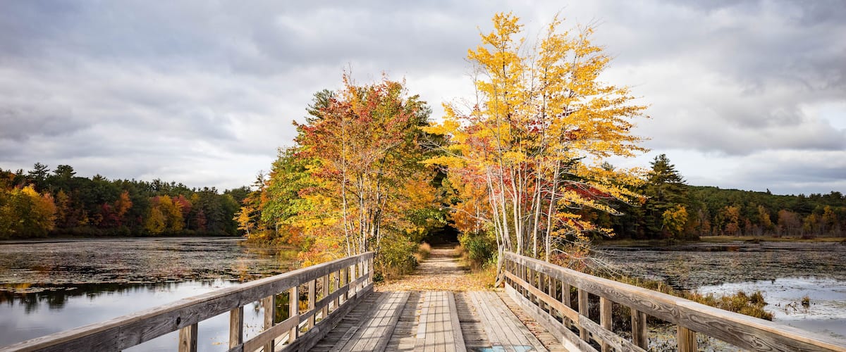 A wooden bridge over a calm lake surrounded by autumn-colored trees.