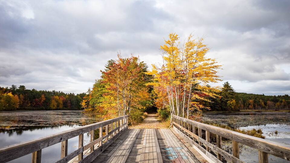 A wooden bridge over a calm lake surrounded by autumn-colored trees.