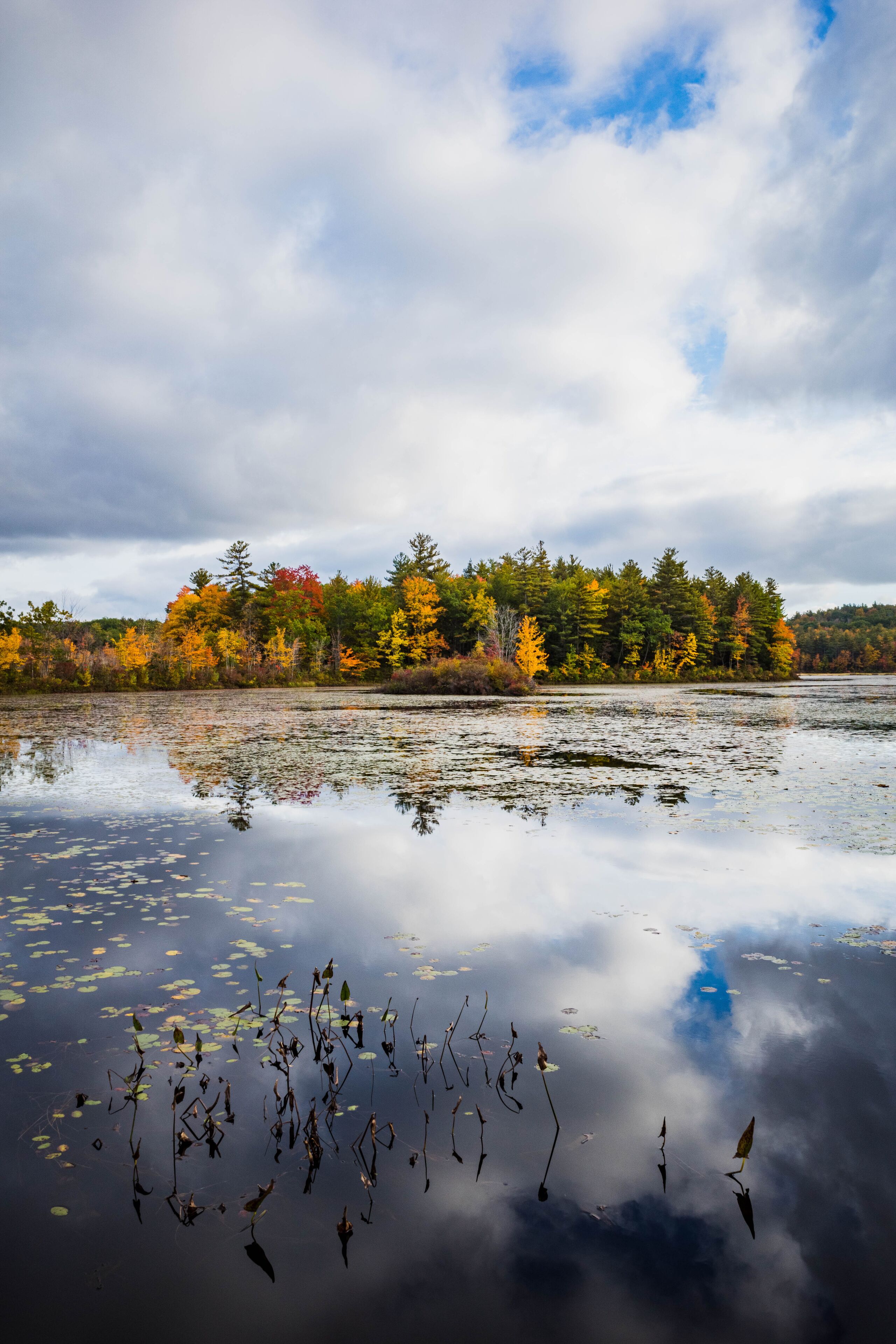Autumn island on a New Hampshire pond