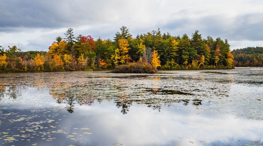 Autumn island on a New Hampshire pond
