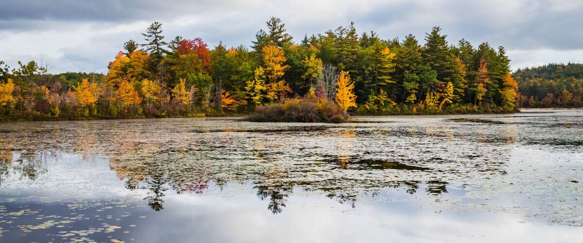 Autumn island on a New Hampshire pond
