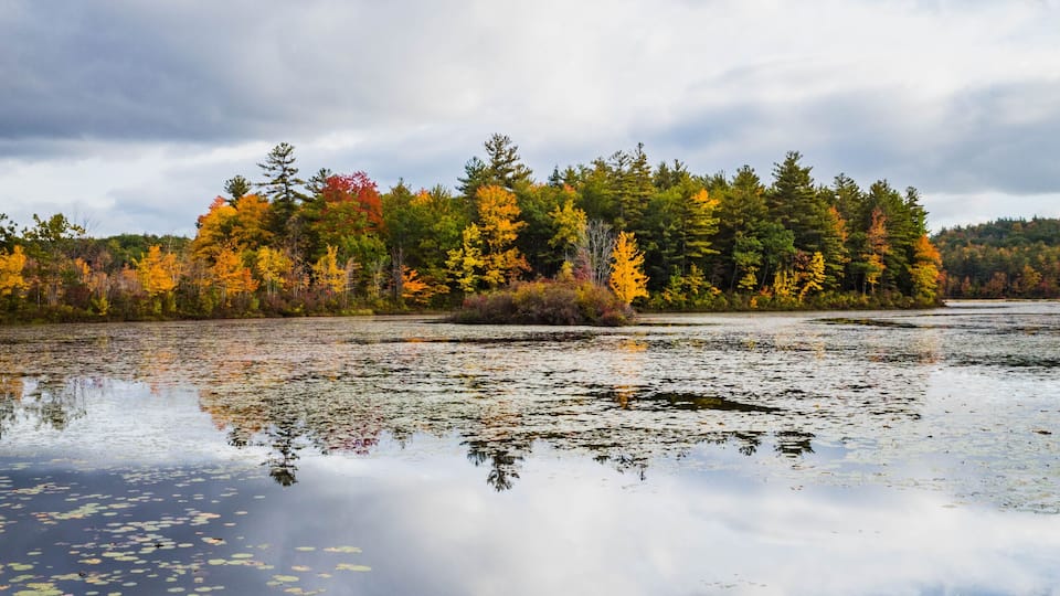A calm lake with reflections of trees and sky.