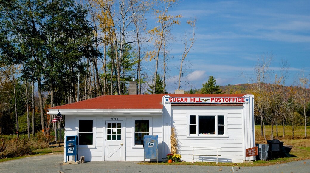 Sugar Hill showing tranquil scenes