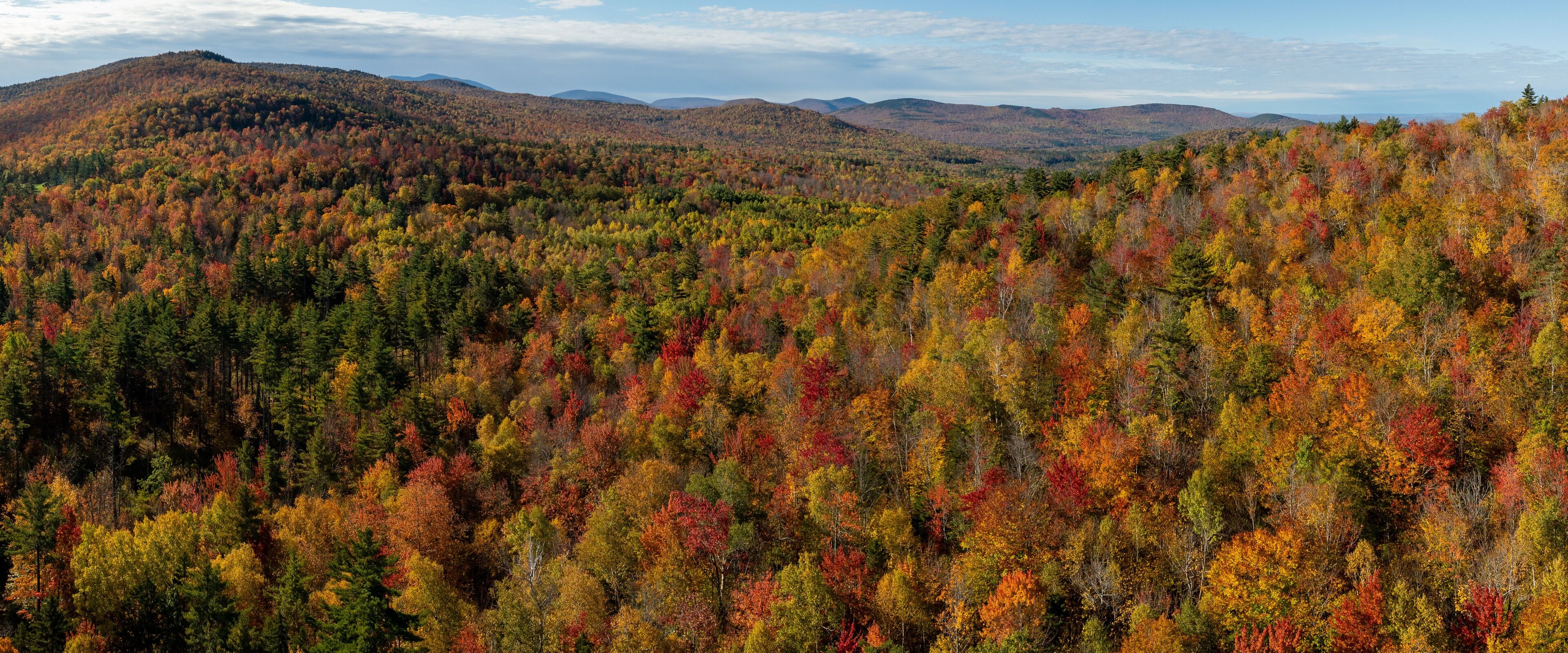 Aerial view of a panoramic vibrant tapestry of fall foliage painting the rolling hills and forests in warm hues of red, orange, and yellow. Sugar Hill, White Mountains, New Hampshire, United States.