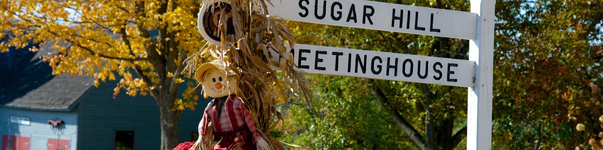 Sugar Hill which includes fall colors and signage