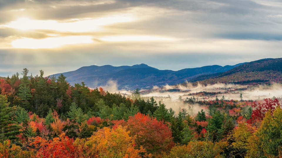 A mountainous landscape with autumn foliage and a misty valley.