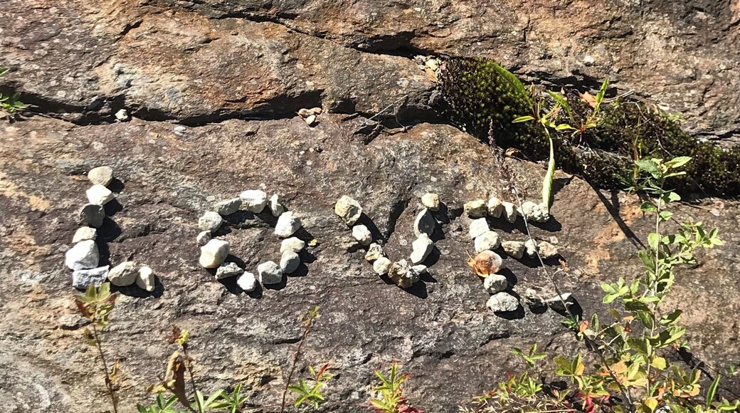 Found some love on today’s nature walk