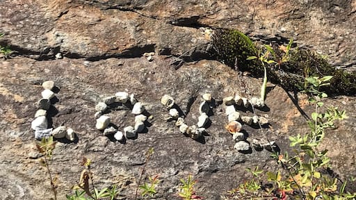 Found some love on today’s nature walk