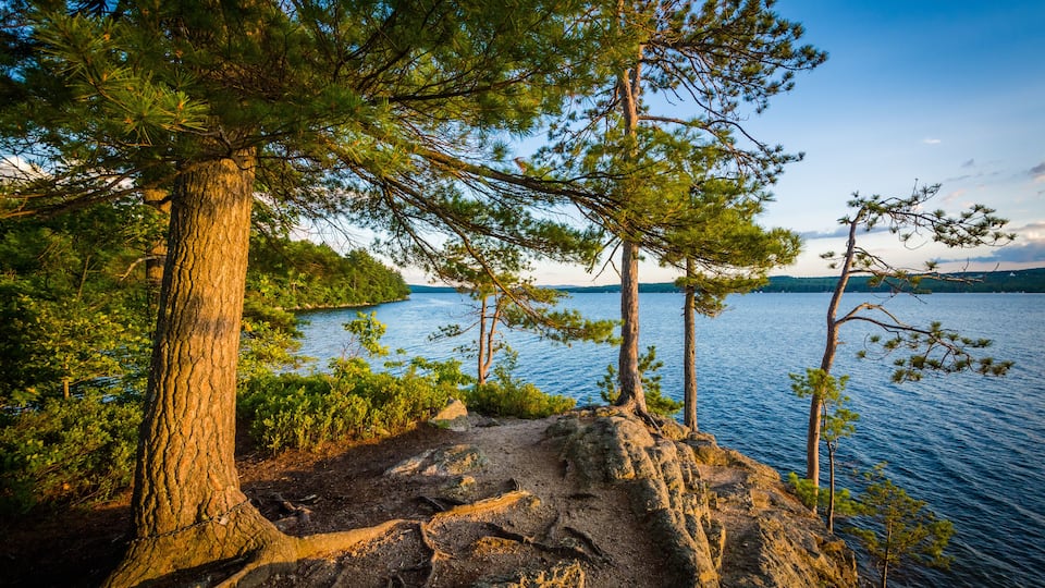 A rocky shoreline with trees and a calm lake.