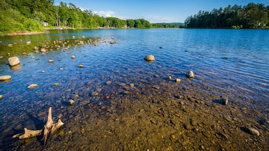 Um lago límpido com rochas e árvores visíveis na margem.