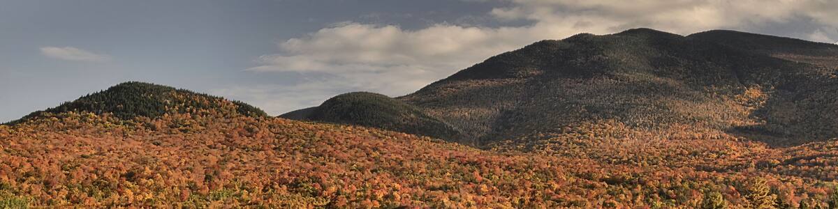 Late autumn afternoon in the White Mountains. Colorful fall foliage and deep blue sky with half moon rising above Twin Mountain in Carroll, New Hampshire.