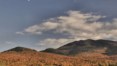 Late autumn afternoon in the White Mountains. Colorful fall foliage and deep blue sky with half moon rising above Twin Mountain in Carroll, New Hampshire.