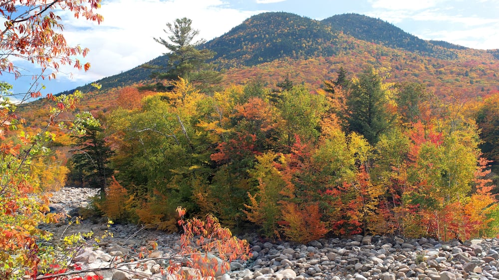 A rocky riverbed with autumn-colored trees and a mountain in the background.