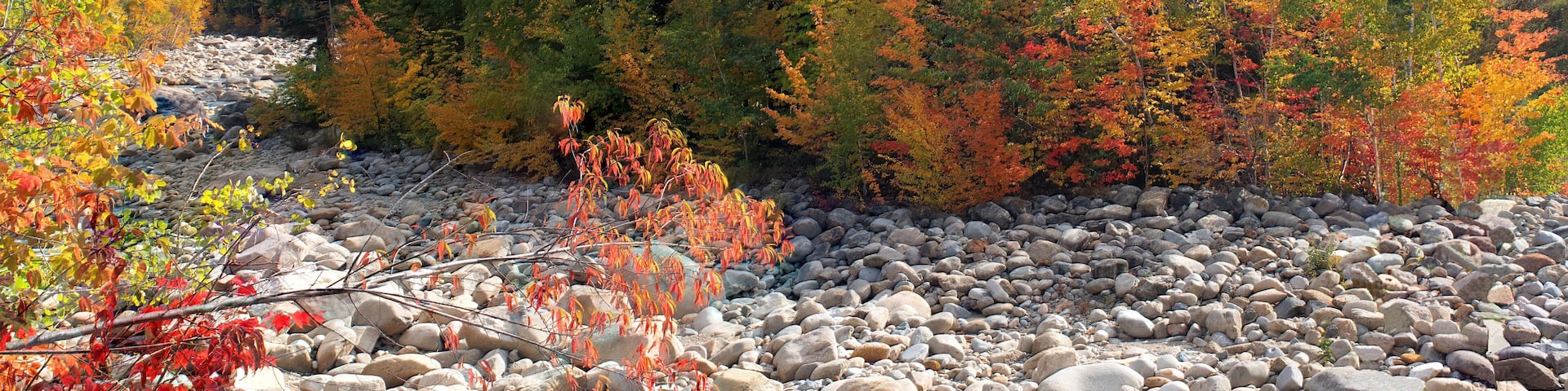 A rocky riverbed with autumn-colored trees and a mountain in the background.
