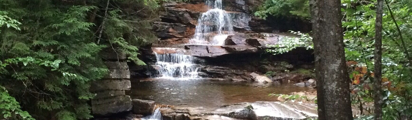 Lower Falls before Arethusa Falls in NH's White Mountains. What a soothing, beautiful part of the world. #hiking #newengland #newenglandhiking #arethusafallstrail #whitemountains #waterfall #newhampshire