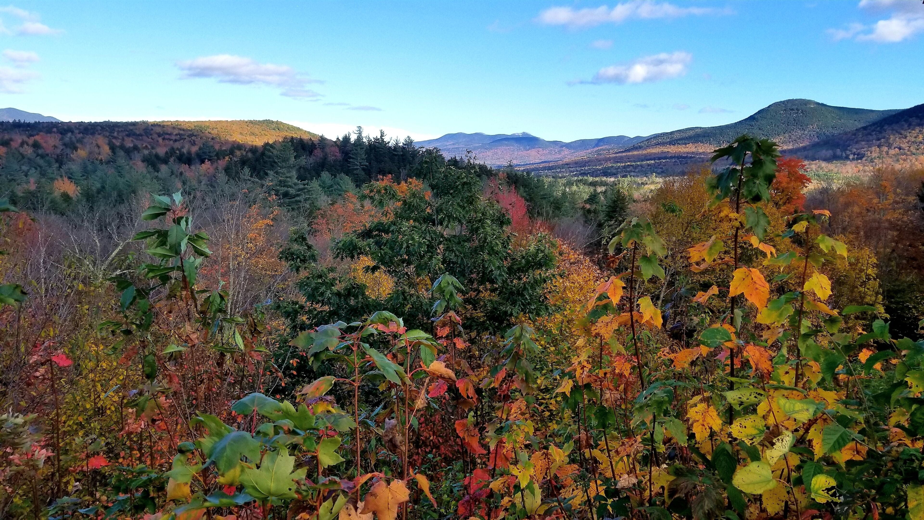 Searching for autumn colors on Hwy. 112 on a road trip on October 12. Photo #2

#GreatOutdoors
#Kancamagus 
#autumncolors 
#WhiteMtns