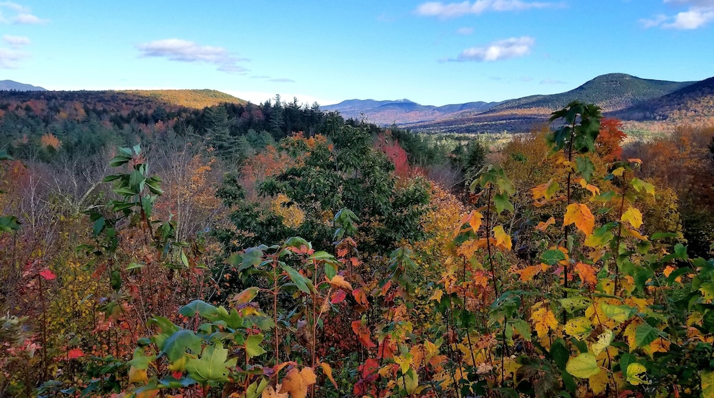Searching for autumn colors on Hwy. 112 on a road trip on October 12. Photo #2
#GreatOutdoors
#Kancamagus
#autumncolors
#WhiteMtns