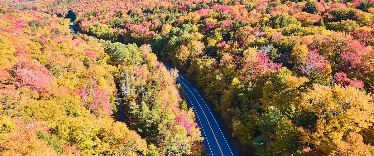 A winding road through a forested area with autumn foliage.