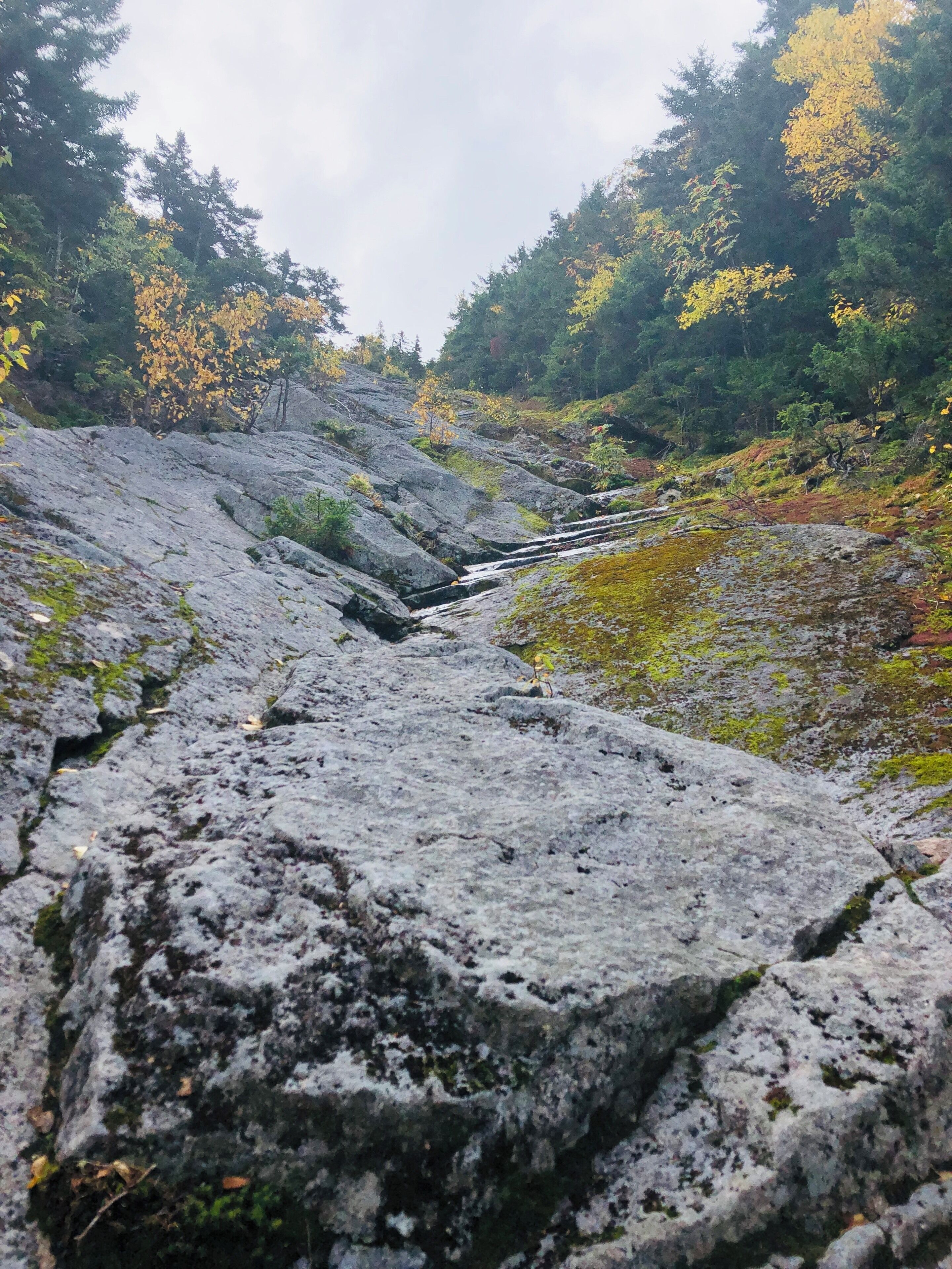 Climbed up the North slide to summit North Tripyramid!! The rock climb was a butt kicker!!