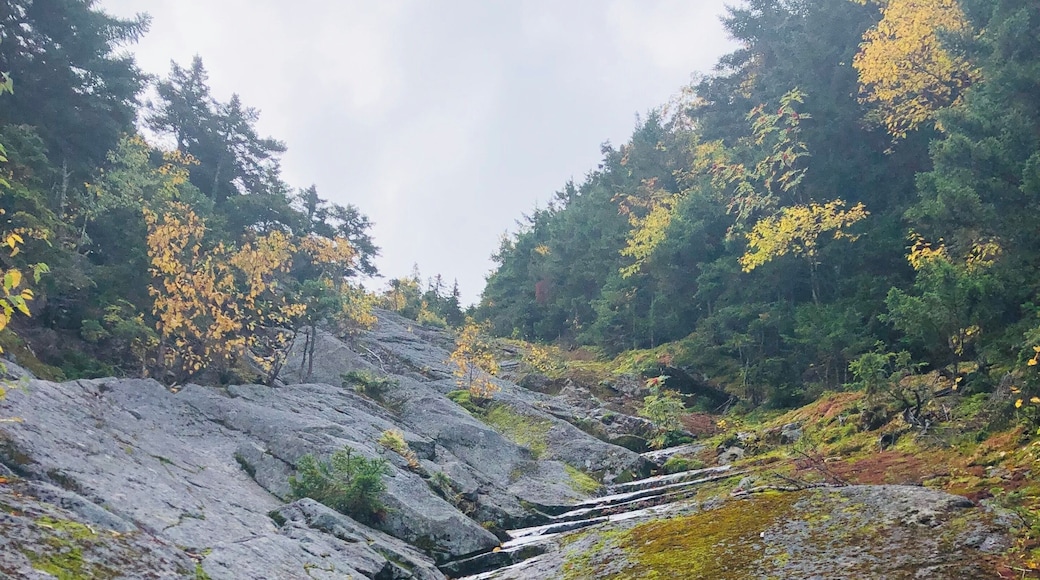 Climbed up the North slide to summit North Tripyramid!! The rock climb was a butt kicker!!