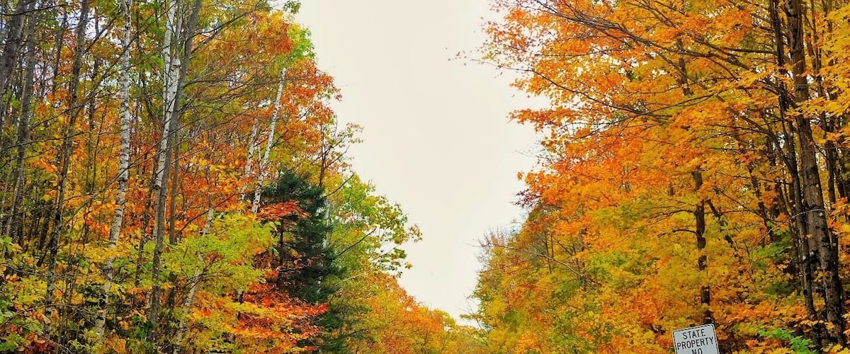 Fall in NH. White mountain is actually colorful
#GreatOutdoors
